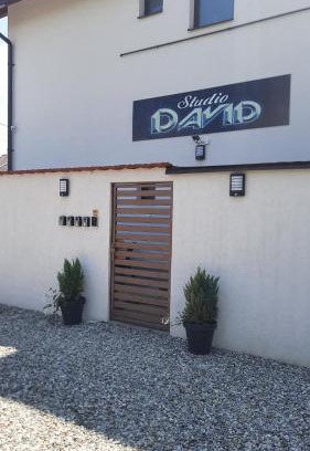 Sibiu Apartamento | *Studio David*