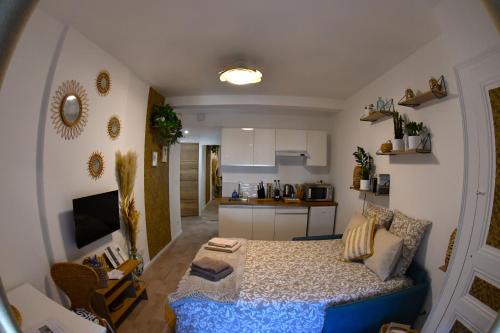 Voiron Apartamento | Studio Elégance Naturelle proche gare