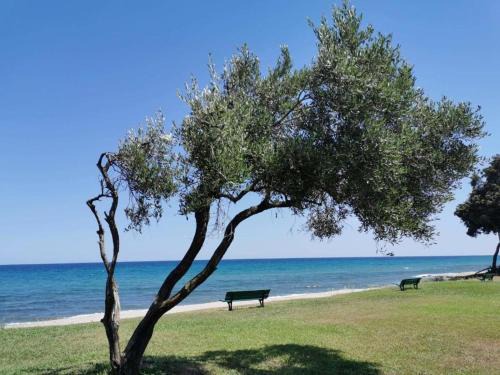 Prunete Apartamento | Studio Face à la mer