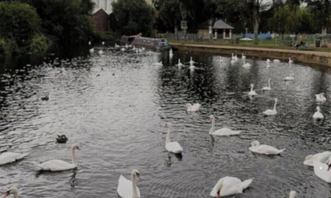 Wellingborough Apartamento | Studio flat 1 room