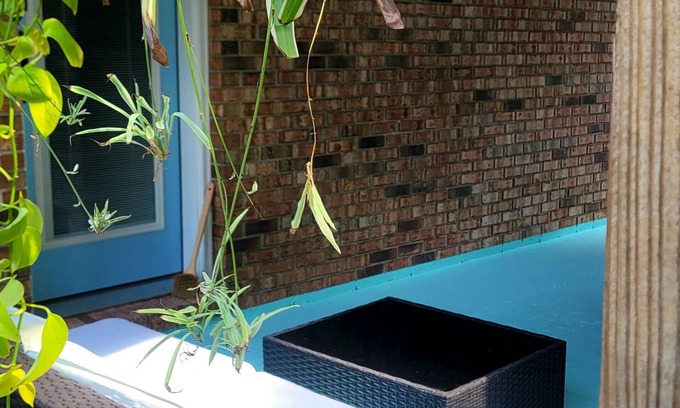 Milton Apartamento | Studio Flat minutes from Emerald Coasts Beaches Deep Discount on Second Month