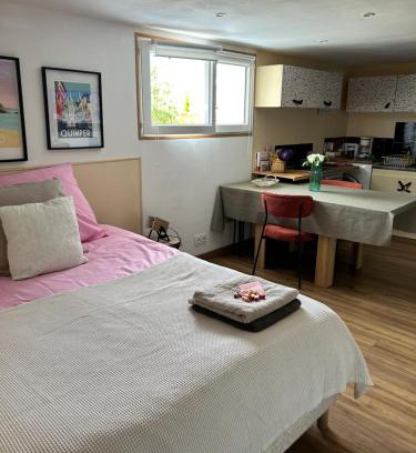 Saint-Jacques-de-la-Lande Apartamento | Studio proche parc expo et aéroport