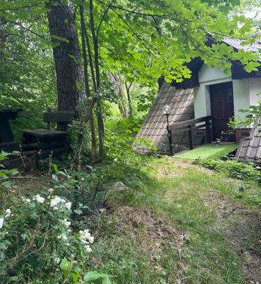 Kamienna Gora Casa | Studio Gościnne ANTEK