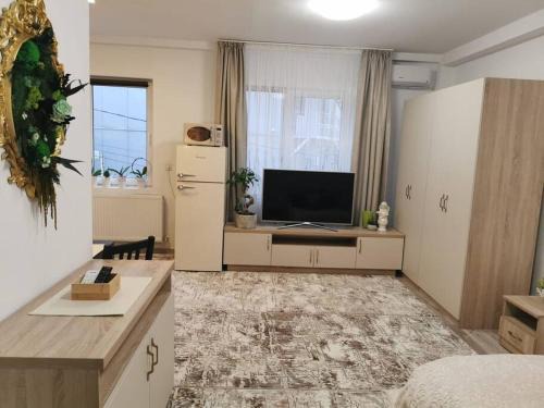 Scheia Apartamento | Studio Green Modern!