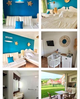 Gros Raisins Apartamento | Studio Hippocampe P&V