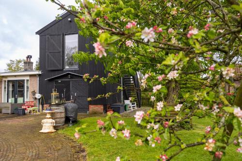 Alkmaar Cama Y Desayuno | Studio Hooischuur Alkmaar/Bergen