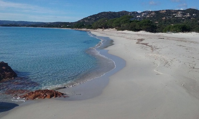 Hameau de Palombaggia Apartamento | ESTUDIO EN PALOMBAGGIA PARA 2 PERSONAS BAJO 700 M DE LA PLAYA CON AIRE ACONDICIONADO
