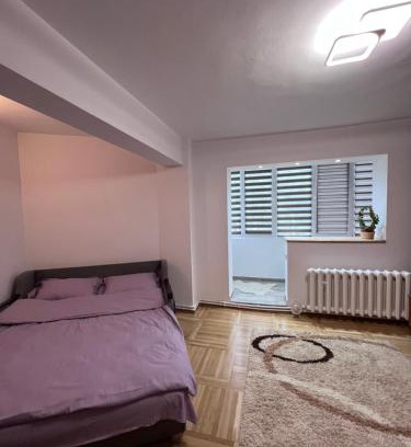 Nehoiu Apartamento | Studio in the city center