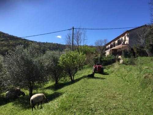 Koper Apartamento | Studio Julijana, Salara farmhouse