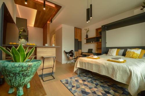 Dorcol Apartamento | STUDIO K district (central BG+private parking)
