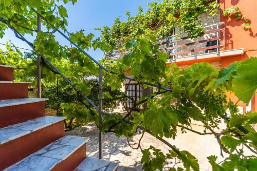Krnica Apartamento | Studio Maja 1511