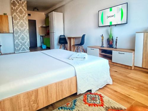 Piatra Neamt Apartamento | Studio Miruna