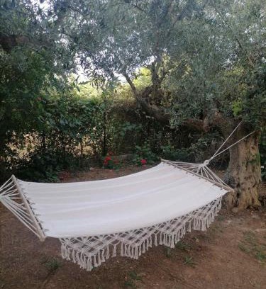 Messini Casa | Studio P & P Polylimnio Waterfalls