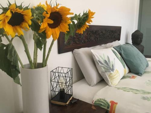 Port Noarlunga South Casa | Studio South Port - Lush Private Oceanfront Studio Apartment