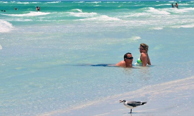 Palma Sola Cabaña | Studio Stand Alone with Shared Pool and FREE WiFi Close to Anna Maria Island