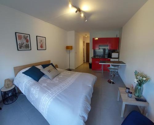 Saint Nicolas - Charles III - Ville vieille - Trois Maisons - Leopold Apartamento | studio vieille ville