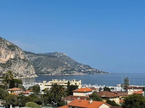 Beaulieu-sur-Mer Apartamento | Studio vue mer
