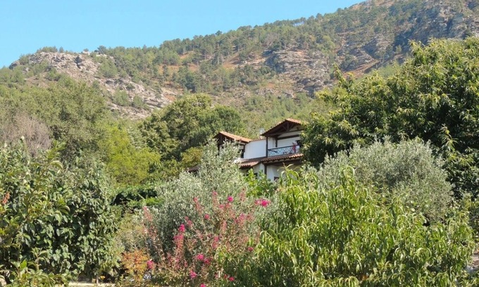 Megalos Prinos Apartamento | Estudio con increíbles vistas a la montaña en la tradicional finca de Thassian.