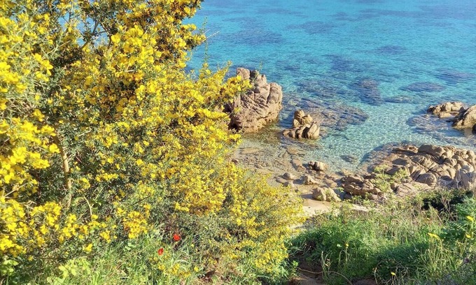 Propriano Apartamento | Studio with sea view and parking 2 steps from downtown