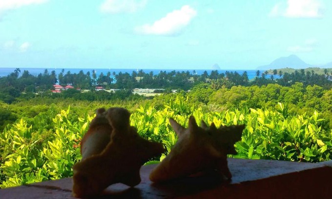 Sainte-Anne Apartamento | Studios Carribean Sea View
