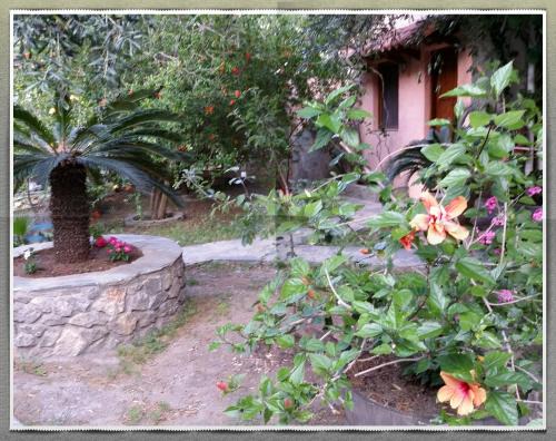 Kantanos-Selino Casa | Stunning 2-Bedrooms private Cottage in Palaiochora