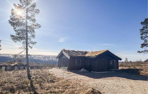 Engerdal Casa | Stunning Home In Engerdal With Wifi