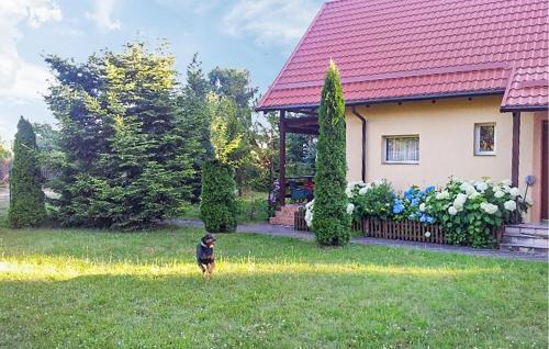 gmina Stezyca Casa | Stunning Home In Golubie With Wifi