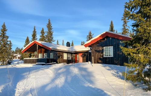 Sjusjoen Casa | Stunning Home In Sjusjøen With Sauna