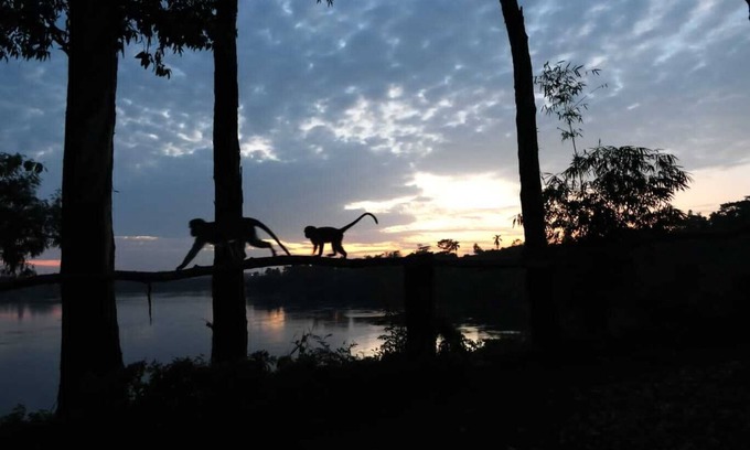 Jinja Cabaña | Stunning Nile River cottage - on the river bank