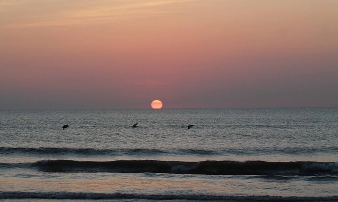 Oceanside Estates Condominio | Stunning Ocean & Pool View 2/2 Ormond Beach Florida #204