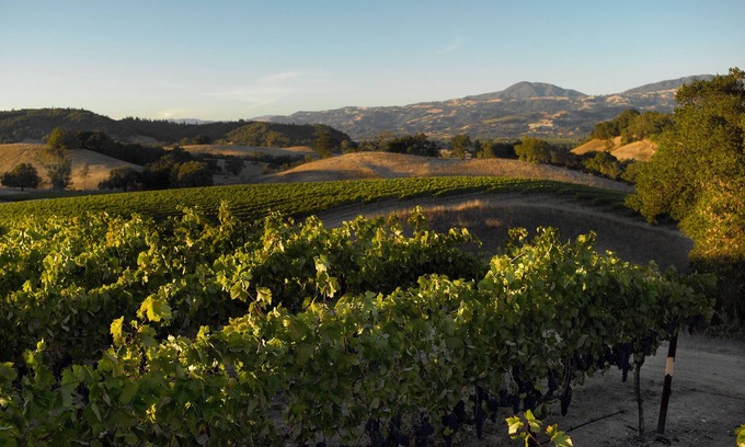 Healdsburg Casa | Stunning Sonoma 3BR, 3BA house w/view, lap pool, hot tub, Tesla chgr, Healdsburg