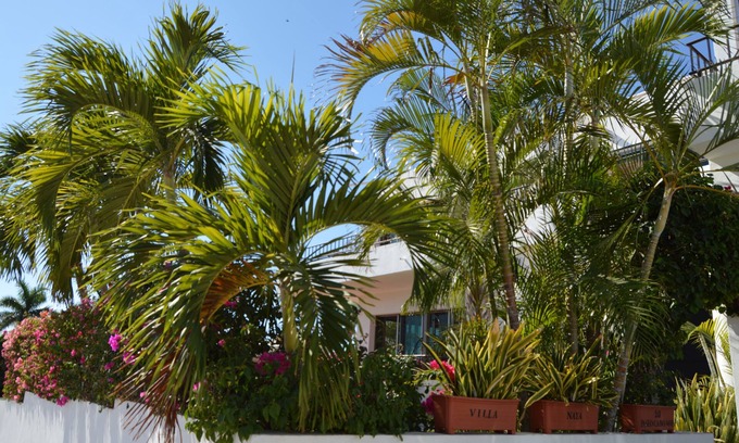 Cabo Bello Casa | STUNNING VILLA IN EXCLUSIVE CABO NEIGHBORHOOD!!