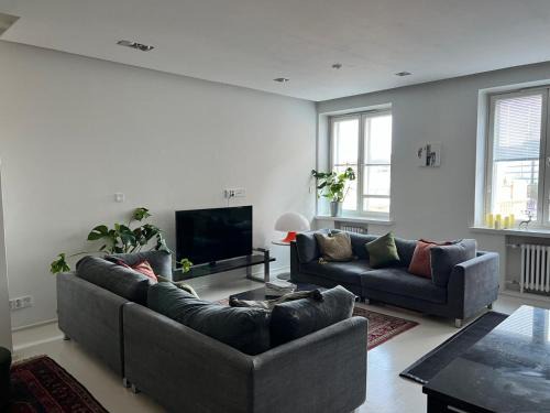Kallio Apartamento | Stylish and spacious 85m2 Hakaniemi Apartment with Market Hall View Next to Metro