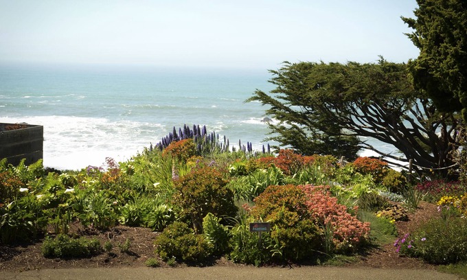 Bodega Bay Casa | Elegante cabaña en la playa de Wrights - Vistas al océano, jardines y colinas