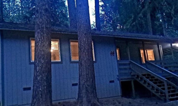 Placerville Cabaña | Stylish, light filled, cottage in the trees, Tahoe close.