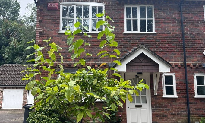 London Borough of Bromley Casa | Stylish, Renovated Chislehurst Retreat – Walk to Station, Pubs & More!