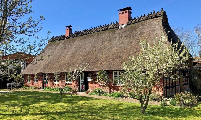 Saustrup Casa | Elegante cabaña de paja de 4 * con hermoso jardín y dos terrazas para familias