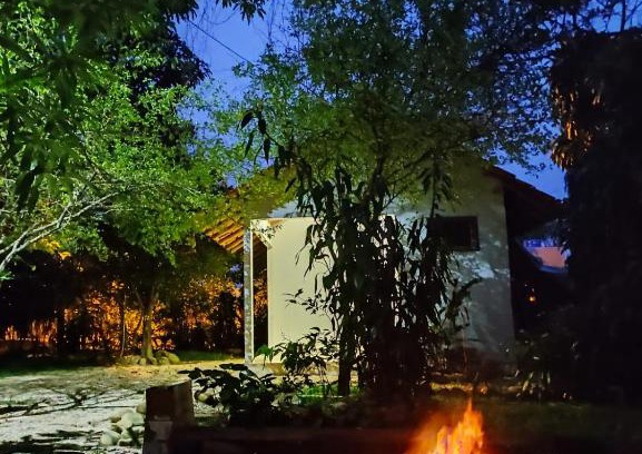 Cuiaba Casa | Suíte da Floresta