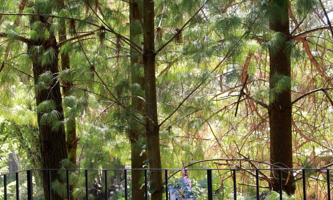 Villa de Allende Hotel | Sublime Valley Resort