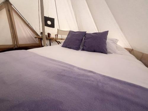 Texcoco de Mora Otro | Sueño de Lavanda en Glamping Rincón de Lavanda