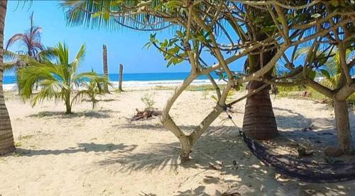 Montañita Apartamento | Suit frente al Mar