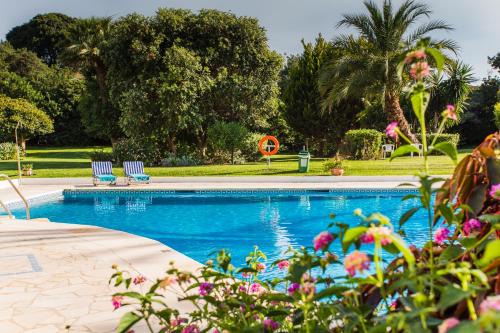 Urbanización Pinos Verdes Apartamento | Suite Bora Bora