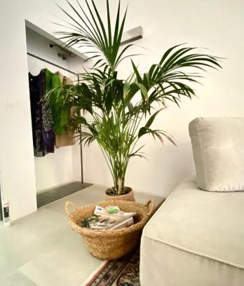 Ravenna Casa | Suite con giardino Ravenna
