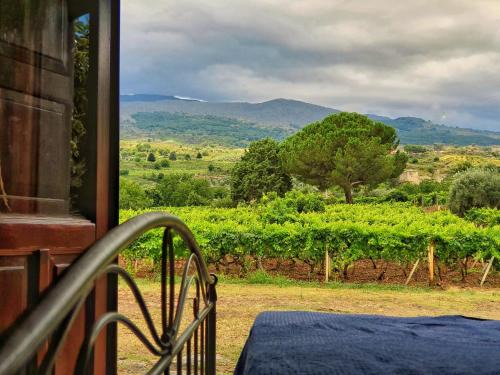 Passopisciaro Casa | Suite in vigneto
