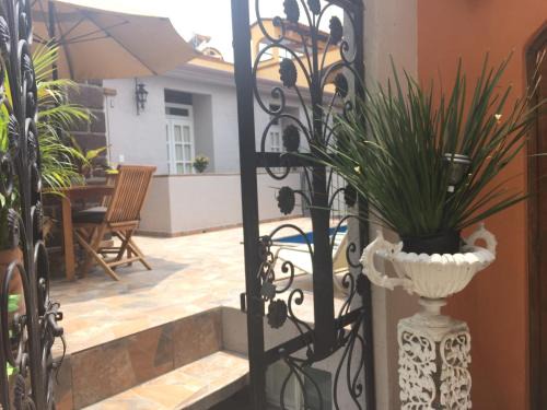 Colonia San Antonio Apartamento | Suites colibri