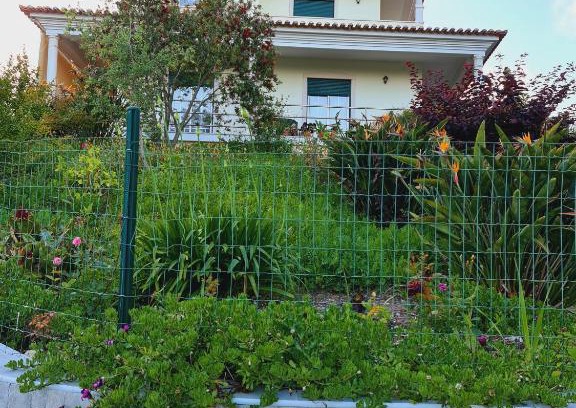 Ferraria Casa | Suites Milhariça