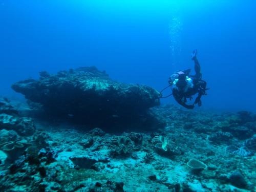 Desa Wula Otro | Sumba Adventure Resort