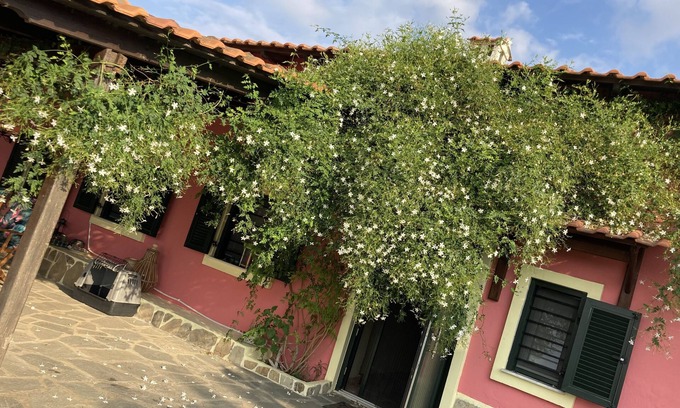 Kalivia Poliyirou Casa | Summer house surrounded by olive trees Halkidiki
