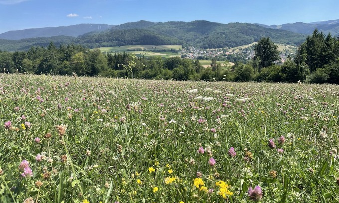 Soelden Apartamento | Summer promotion wine festival & hiking: FREIBURG in Sölden/Black Forest up to 3 persons