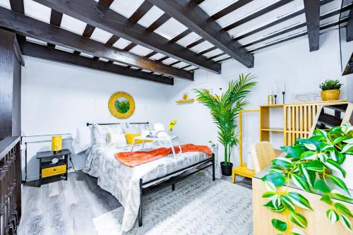 Arecibo Pueblo Apartamento | Sun Love Old San Juan